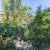 Романов переулок, 3с1